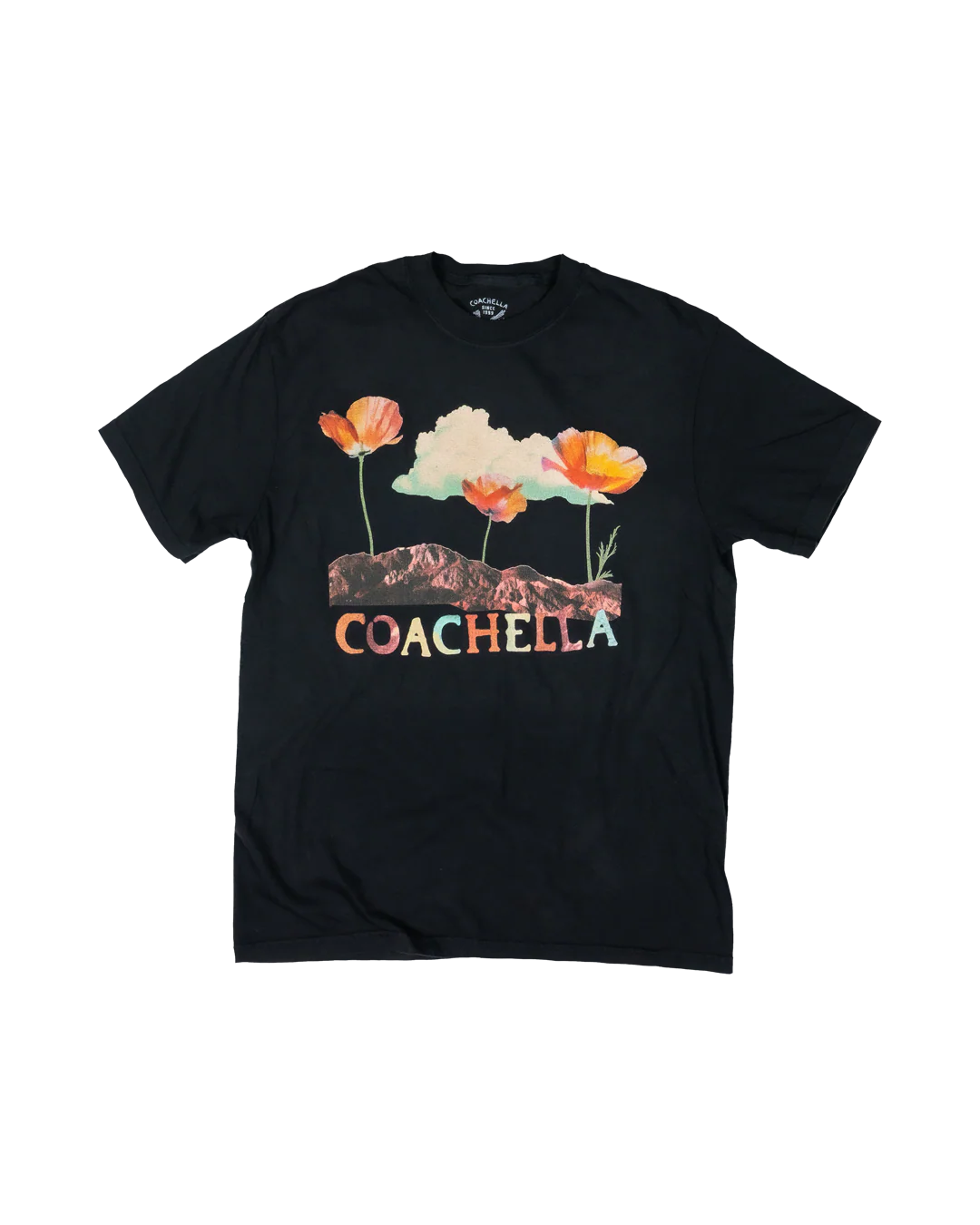 Coachella Poppies 2025 Lineup Tee - Image 2