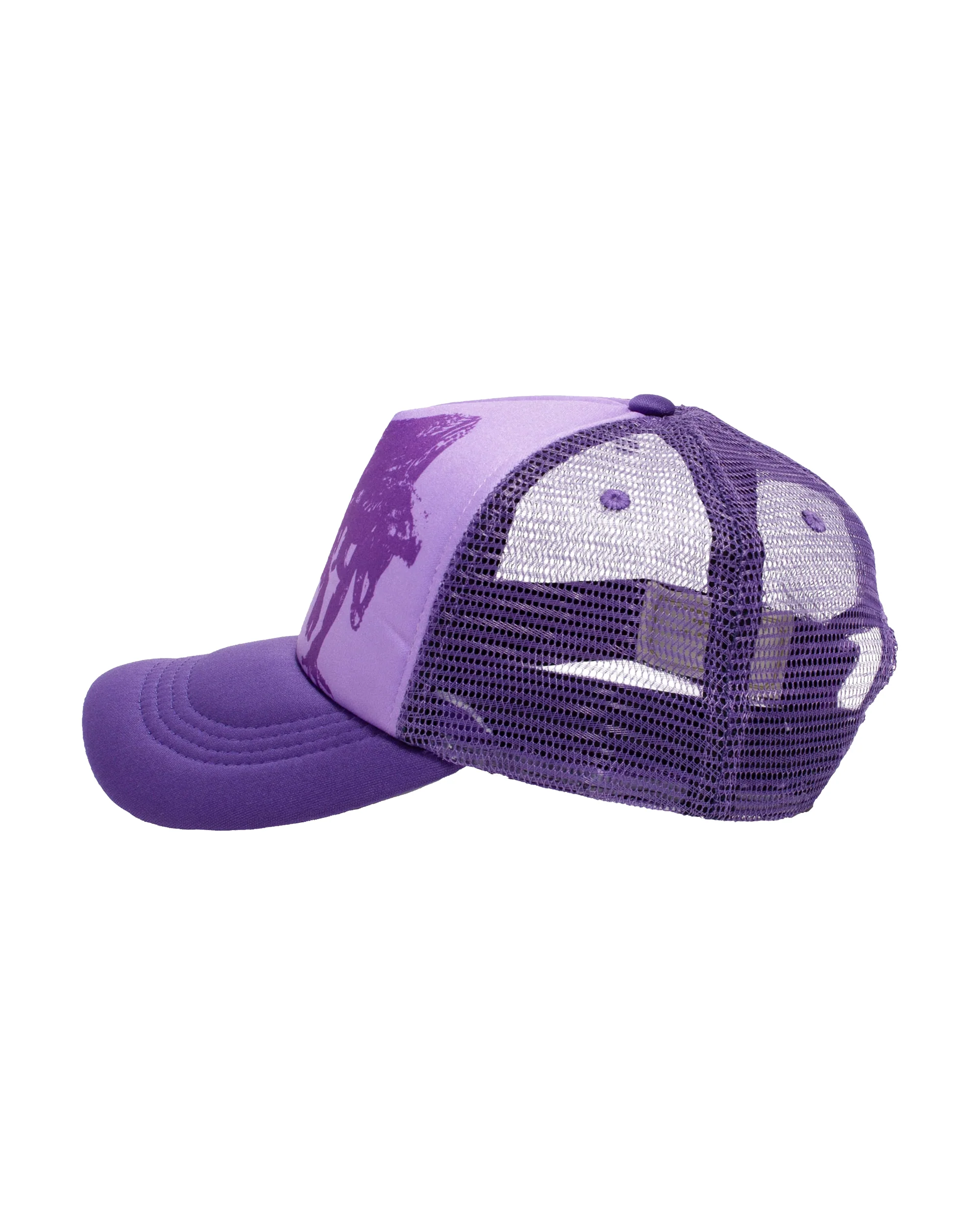Heaven On Earth The Raptors Hat - Image 3