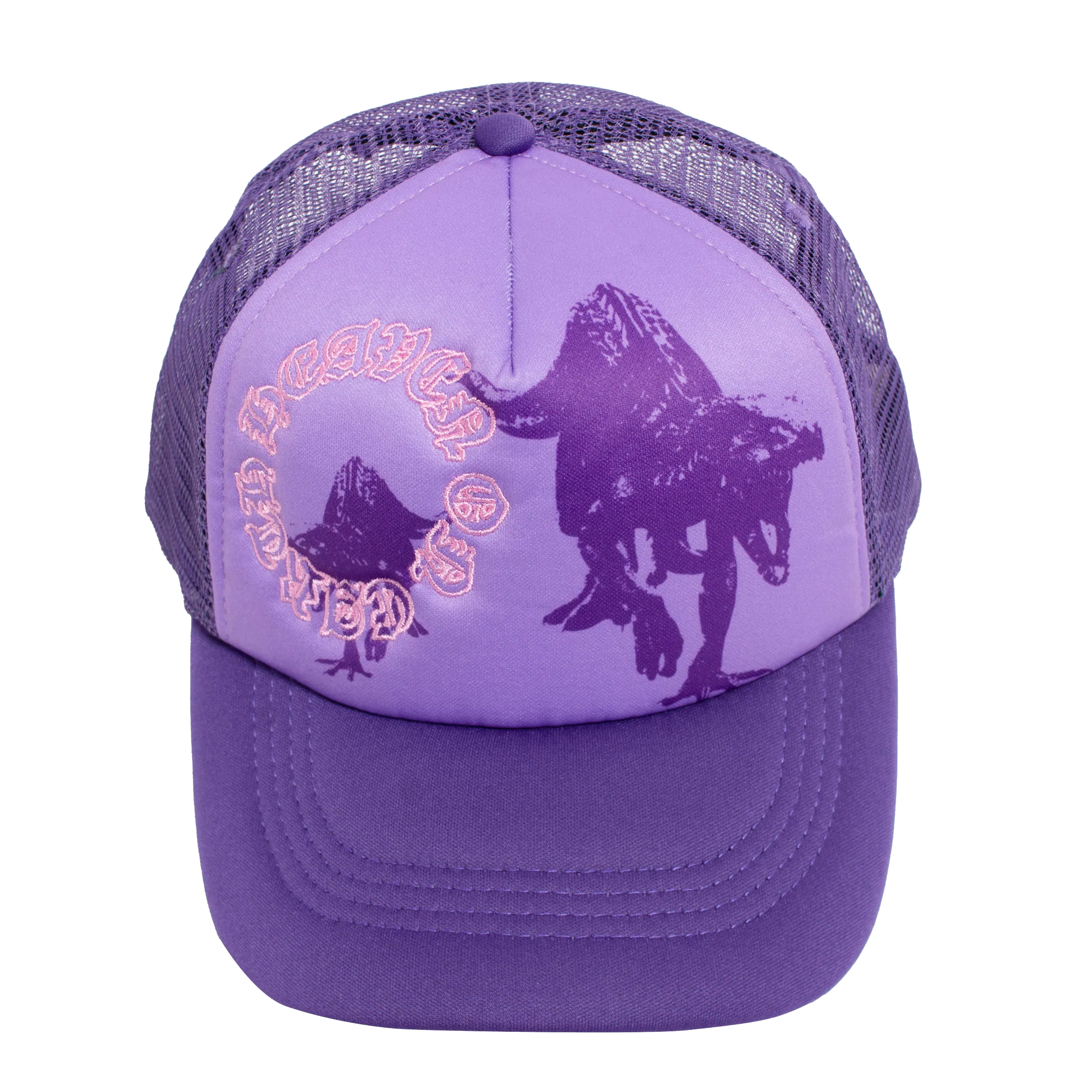 Heaven On Earth The Raptors Hat - Image 7