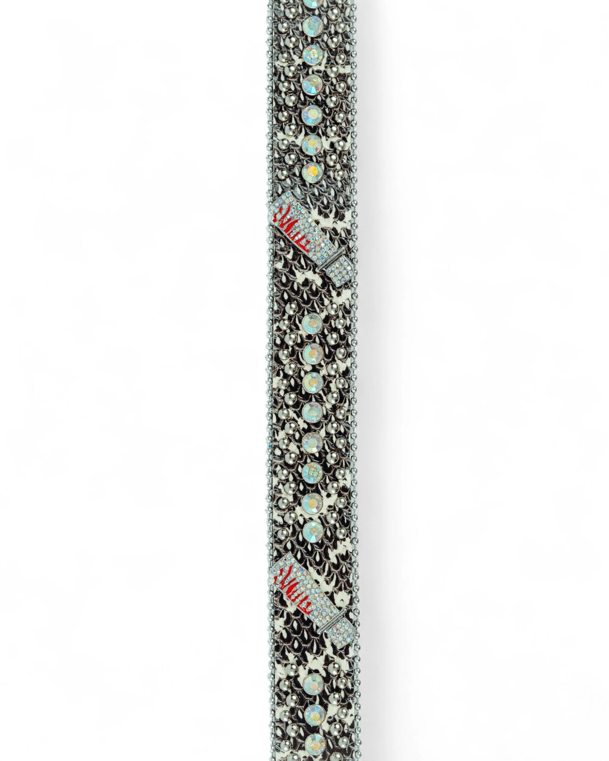 Jason Belt - Image 2