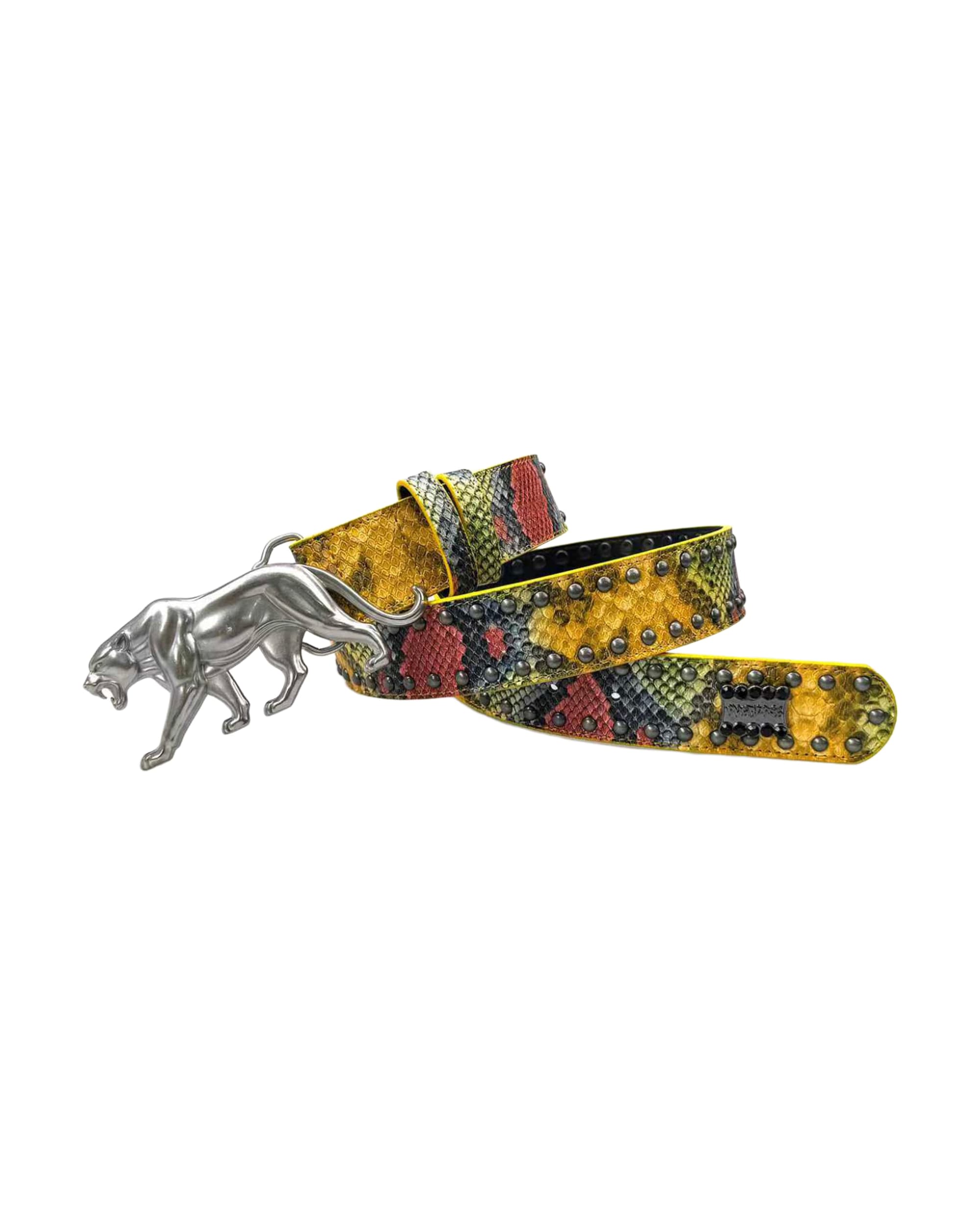 "PANTHER" BELT - DRAGONSKIN - Image 3