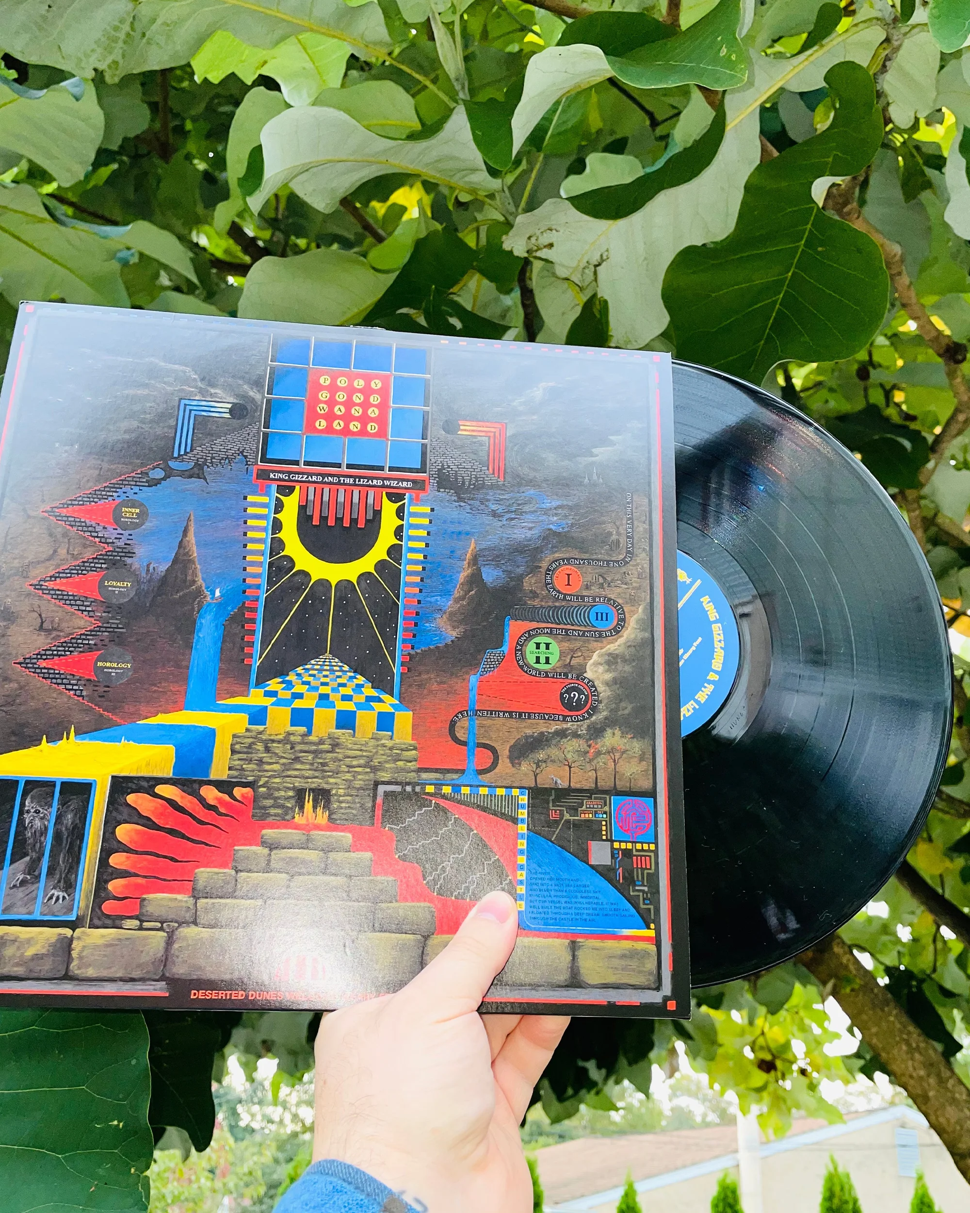 Polygondwanaland - Image 6